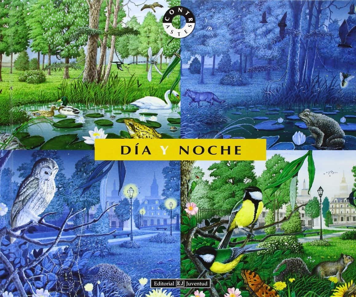 Libro Día Y Noche Los Animales De Día Y Los Nocturnos En Europa