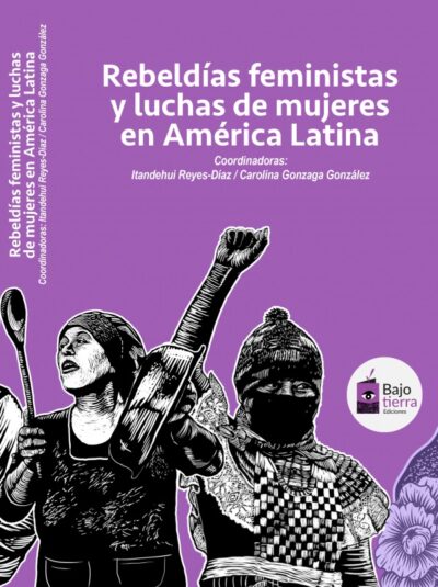 Rebeldías feministas y luchas de mujeres en América Latina