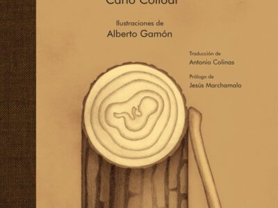 Las aventuras de Pinocho - Carlo Collodi (ilustrado)
